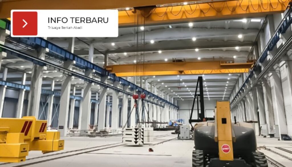 Tips Memilih Crane yang Tepat Sesuai Kapasitas dan Kebutuhan Operasional