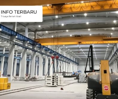 Tips Memilih Crane yang Tepat Sesuai Kapasitas dan Kebutuhan Operasional